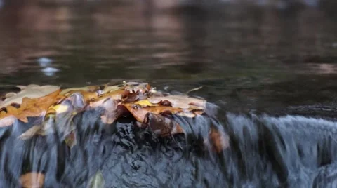 Little brooks fall Stock Footage 48456190