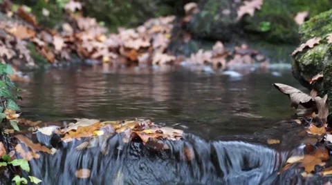 Little brooks fall Stock Footage 48457193