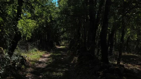 Little bucolic path 3 Video stock 145967453