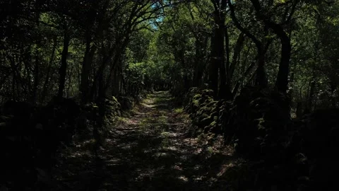 Little bucolic path Stock Footage 145966615