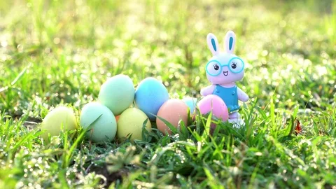 Little Bunny and easter eggs on meadow, Stock Footage 127569455