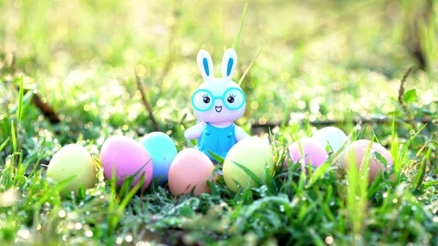 Little Bunny and easter eggs on meadow, Stock Footage 127570822