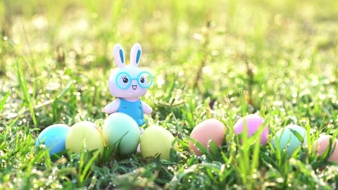 Little Bunny and easter eggs Stock Footage 127570845