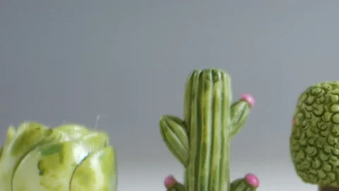 Little cactus on blur background. Stock Footage 116800909