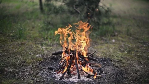 Little camp bonfire on the ground Stock Footage 76214756