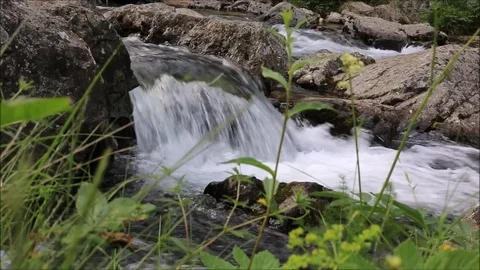 Little cascade Stock-Footage 78559066