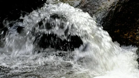 Little cascade at the river aist Stock Footage 126766118