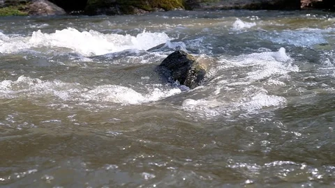 Little cascade at the river aist Stock Footage 126952300