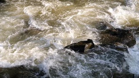 Little cascade at the river aist 库存影片 126953241