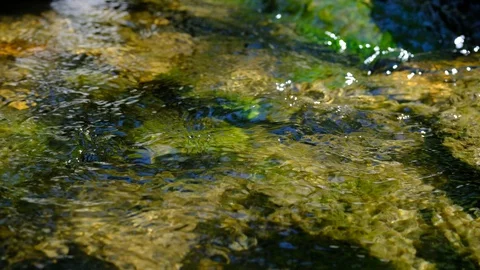 Little cascade at the river aist Stock Footage 129211397