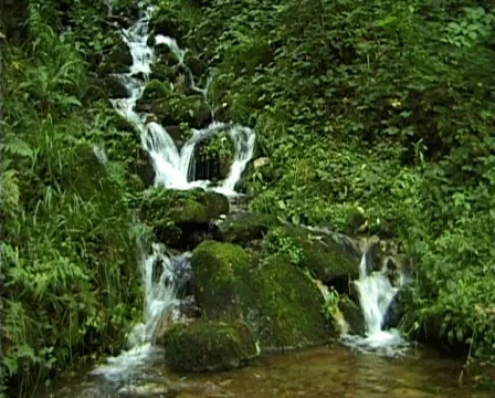 Little cascade waterfall in the forest 库存影片 272661