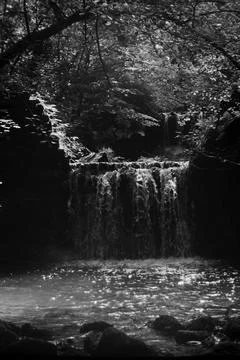 Little cascade into the woods Stock Photos