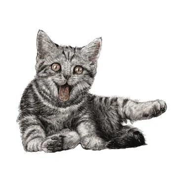 Little cat Stock Illustration