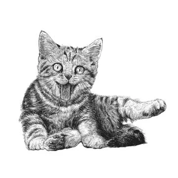 Little cat Stock Illustration