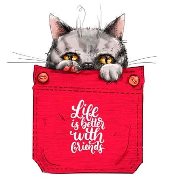 Little cat in pocket. Stock Illustration