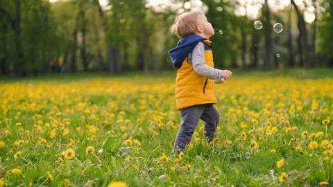 Little charming boy playing with soap bubbles in the park on a sunny day. Slow Stock Footage 108067988