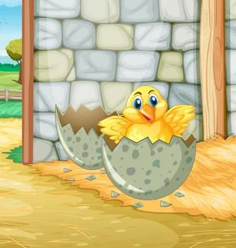 Little chick hatching egg in barn Stock Illustration