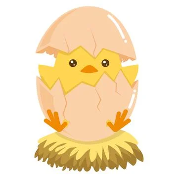 Little Chick Hatching Out The Egg Stock Illustration