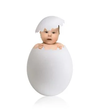 Little chick Stock Photos