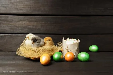 Little chicks Easter cake and colored eggs on a dark wooden background. Easte Stock Photos