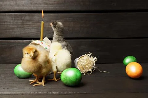 Little chicks Easter cake and colored eggs on a dark wooden background. Easte Foto stock
