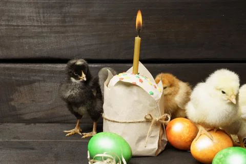 Little chicks Easter cake and colored eggs on a dark wooden background. Easte Stock-Fotos