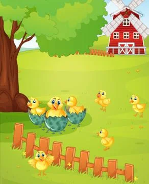 Little chicks on the farmyard Stock Illustration