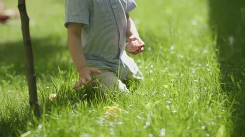 Little child boy gather Ester eggs from green grass playing Easter egg hunt game Stock Footage 231297116