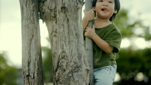 Little child is climbing a tree while running and playing in the park. Video stock 209767166
