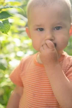 Little child exploring blueberry patch Stock-Fotos