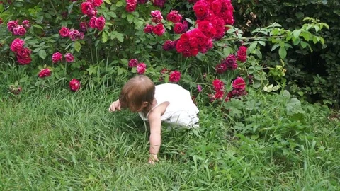 Little Child learns to stand Stock Footage 78242236