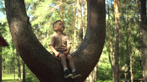 Little Child Sitting on a Tree Branch Fork in Nature Vidéo 343894497