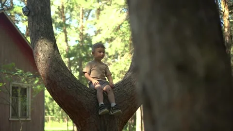 Little Child Sitting on a Tree Branch Fork in Nature, Camera Panning Stock-Footage 343894500