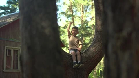 Little Child Sitting on a Tree Branch Fork in Nature and Waving Hand 스톡 동영상 343894502