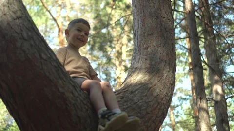 Little Child Sitting on a Tree Branch Fork in Nature, Close Up Vidéo 343894504