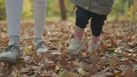 Little child stomping through vibrant leaves in park. Young child in pink socks Stock Footage 334629672