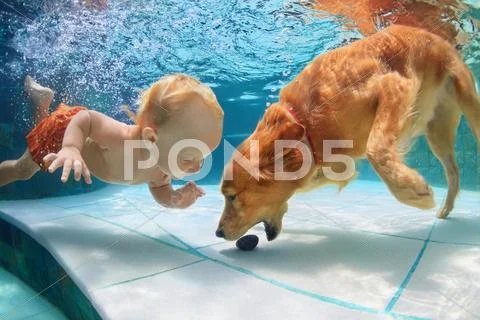Little child swim underwater and play with dog Stock Photos