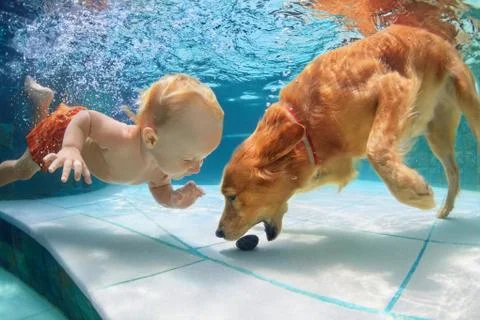 Little child swim underwater and play with dog Stock Photos