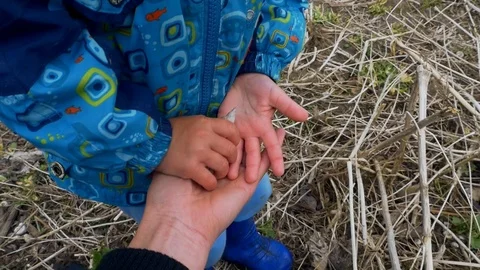 Little child taking shells from his mother's hand in a meadow near the river Stock Footage 80022161