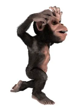 Little Chimp Monkey on White Stock Illustration