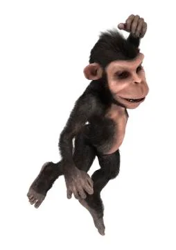 Little Chimp Monkey on White Stock Illustration