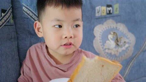 A little Chinese boy eats a toast panel on the sofa at home Stock Footage 221458026