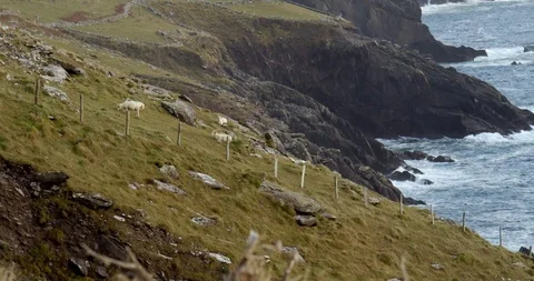 Little cliff Stock Footage 119516718