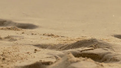 Little Crab walking on the beach during outflow. Video stock 122764584