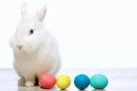 Little cuddle rabbit with Easter eggs Stock Photos