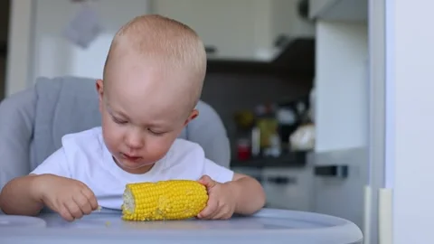 Little curious child trying first time a sweet corn cob. 4K Stock-Footage 293579386