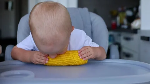 Little curious child trying first time a sweet corn cob. 4K Stock Footage 315570967