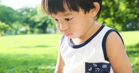 Little cute 2 year boy playingon green grass park recreation activity Stock Footage 135494511