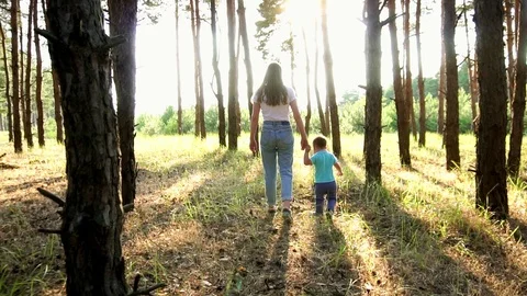 Little cute boy picking up pine branches with young sister on relaxing evening Stock Footage 104220018