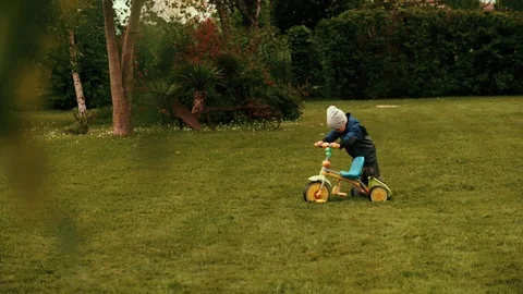 Little cute boy playing with small tricycle on green grass at summer forest park Stock Footage 110706754